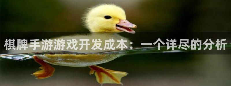 三牛娱乐负责人是谁：棋牌手游游戏开发成本：一个详尽的分析