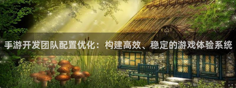 三牛平台娱乐：手游开发团队配置优化：构建高效、稳定的游戏体验