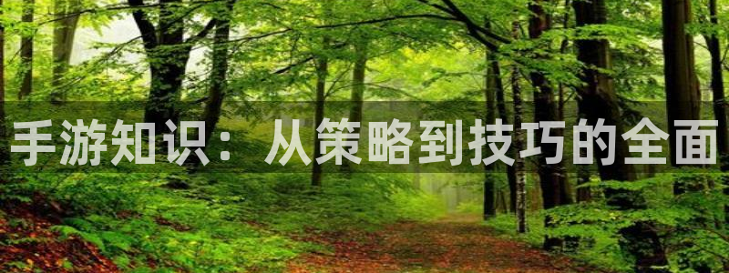 三牛娱乐注册：手游知识：从策略到技巧的全面