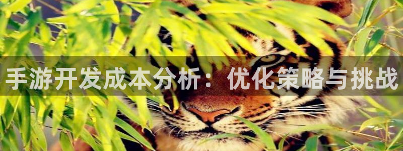 三牛娱乐官网：手游开发成本分析：优化策略与挑战