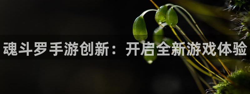 三牛娱乐管网怎么样：魂斗罗手游创新：开启全新游戏体验