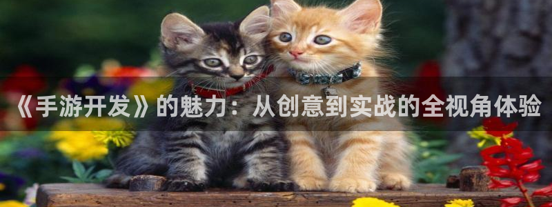 三牛娱乐登录：《手游开发》的魅力：从创意到实战的全视角体验