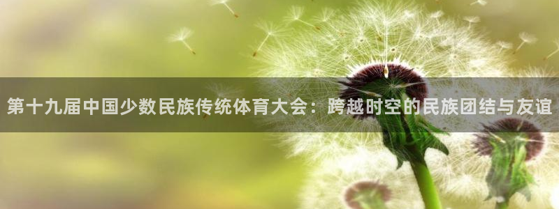 oety欧亿：第十九届中国少数民族传统体育大会：跨越时空的民族团结与友谊