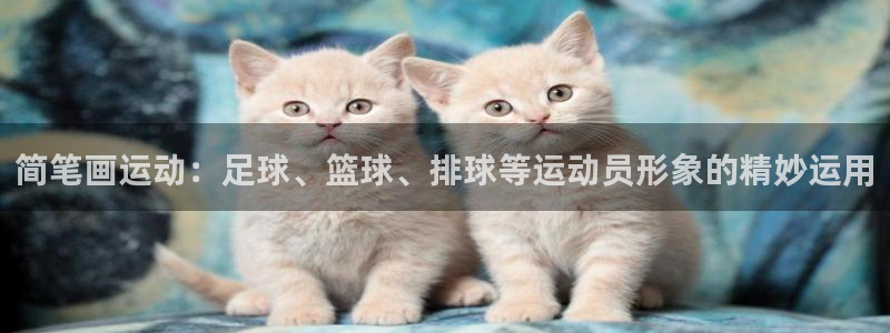 oety欧亿：简笔画运动：足球、篮球、排球等运动员形象的精妙运用
