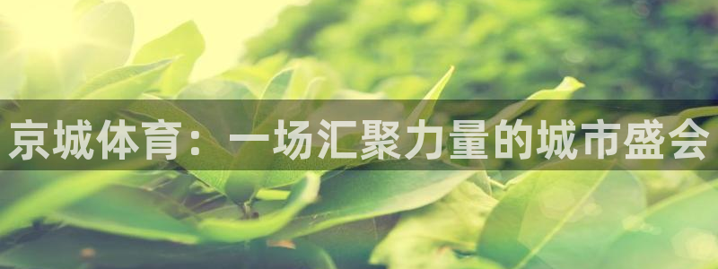 oety欧亿：京城体育：一场汇聚力量的城市盛会