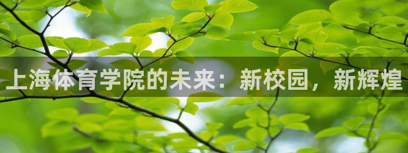 oety欧亿：上海体育学院的未来：新校园，新辉煌