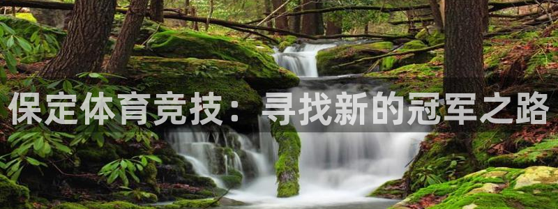 oety欧亿：保定体育竞技：寻找新的冠军之路
