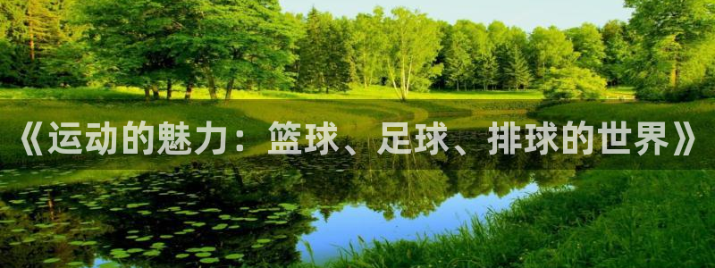 oety欧亿