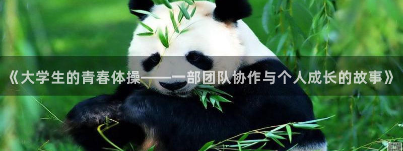 oety欧亿：《大学生的青春体操——一部团队协作与个人成长的故事》