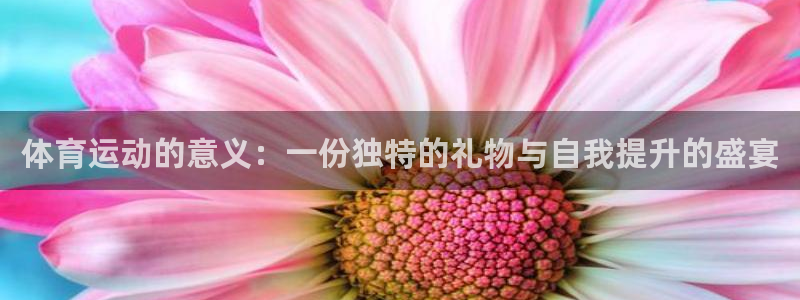 oety欧亿：体育运动的意义：一份独特的礼物与自我提升的盛宴