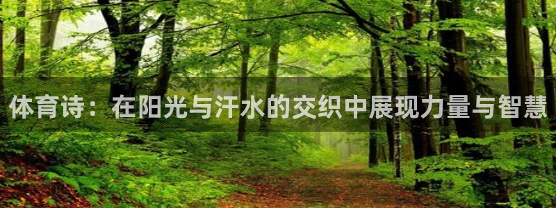 oety欧亿：体育诗：在阳光与汗水的交织中展现力量与智慧